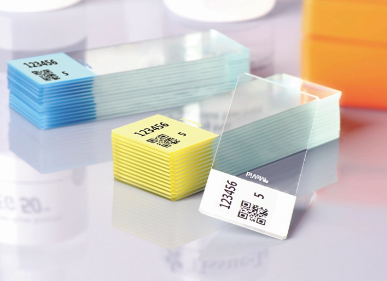 ColorCode Frosted Microscope Slides Pathology Specimen Sorting