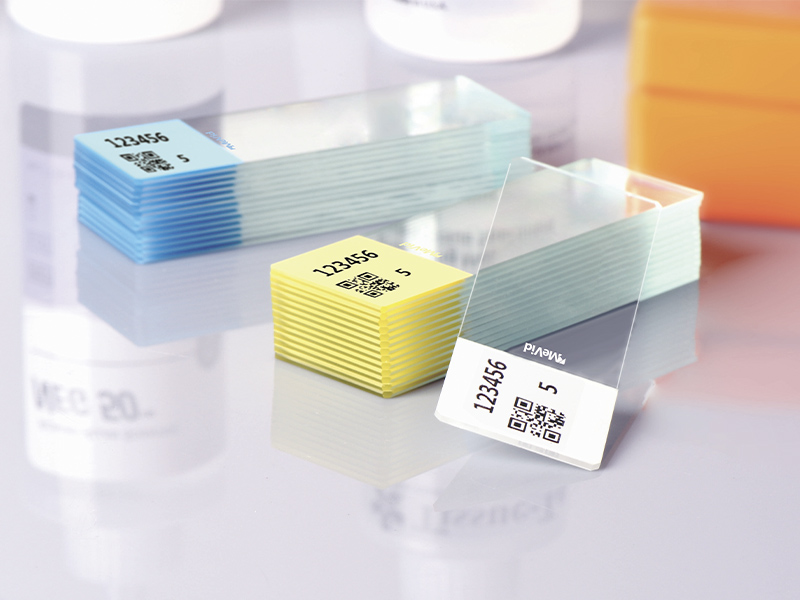 ColorCode Microscope Slides